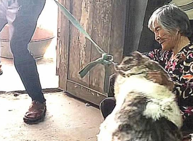 狗狗自小给奶奶养,长大后却要被接走,分离场面让人鼻头发酸