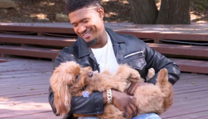 巨星亚瑟小子是汪奴? 花费12000美金拍下一只狗