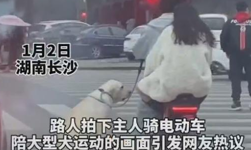 主人骑电动车溜大型犬,拍摄者:“感觉特别暖心”