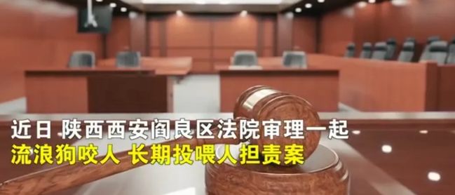 陕西西安,市民方某在小区散步时不慎被一只流浪狗咬伤了右腿