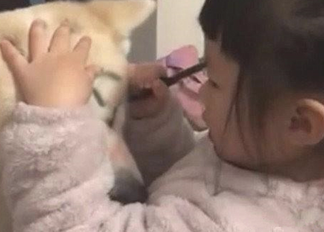 女子下班回家,看到女儿在狗狗脸部捯饬,靠近一看却有点儿心痛了