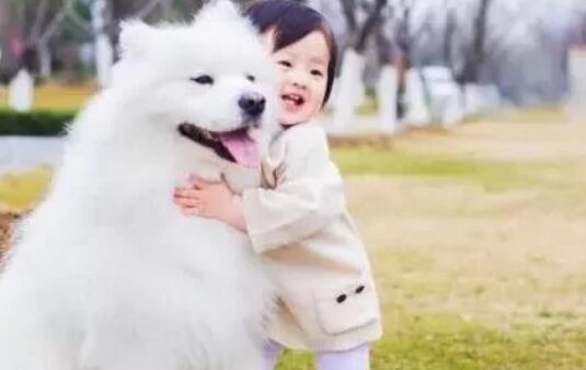 孩子与狗狗真的不能共存吗?看看国内外专家是怎么说的!