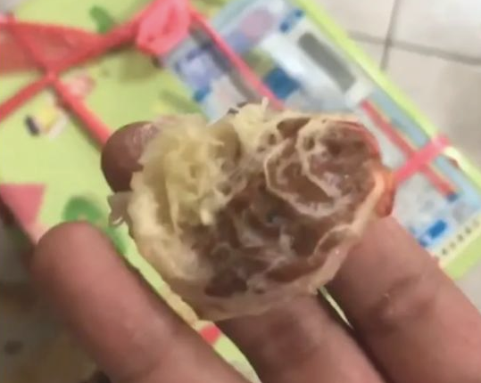 几箱桃子放地面上,被3只法斗开箱偷食了,狗:替你尝一尝甜不甜!