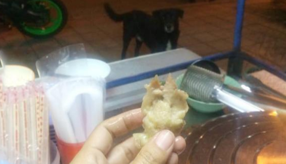 流浪狗被肉香吸引,坐在小吃摊前不肯走,摊主喂它鸡肉后竟被赖上