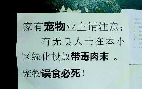 丧心病狂 一周内小区11条宠物狗被毒死