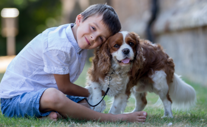 智能设备推动宠物经济千亿级增长，迎来新机遇