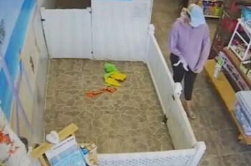美国一女子进宠物店偷狗监控拍下作案全过程
