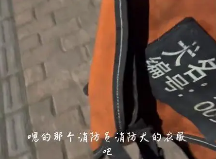 女子遛狗捡到消防犬，巧用自家狗为“诱饵”送回