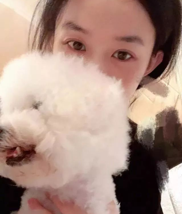 赵丽颖晒晒1组与狗狗的自拍图,怀里家犬裸妆出境超美!