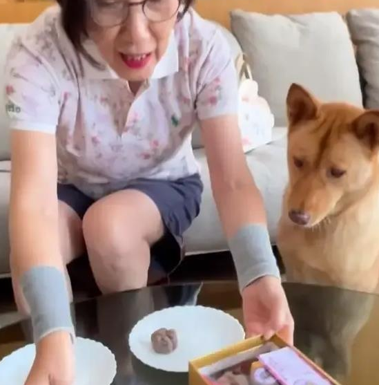 汪明荃和罗家英月饼收多了,竟拿出来喂狗了?
