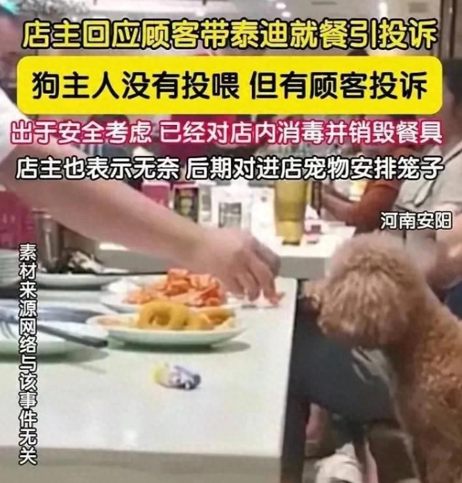 顾客带宠物狗上座吃饭,老板无奈将餐具销毁