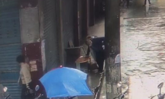 “当街打死金毛犬”事件调查:社区寻主人未果按流浪狗处理