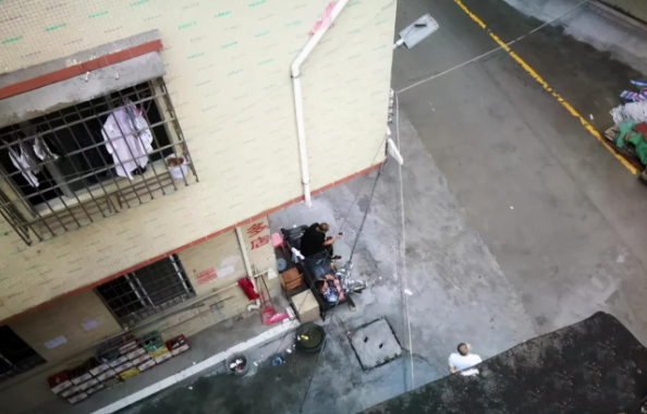 天上掉下来一只狗,被砸中的女子成一级伤残,法院判赔117万