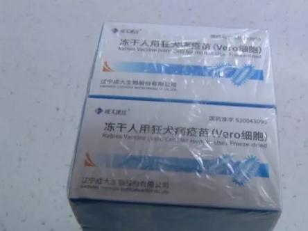 夏季狗猫易狂躁,狂犬疫苗接种率逐日增高!