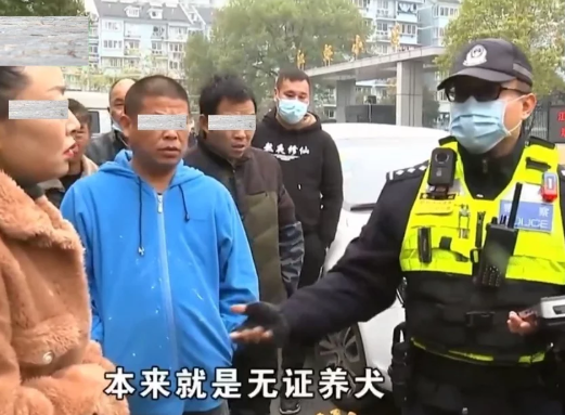 女子遛狗不拴绳被出租车撞死,拦着车主不让走:赔我一个一样的