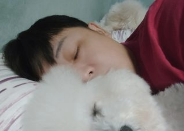 比熊犬看到主人抱别狗睡觉,秒变怨念背后灵:你最好别睡太死