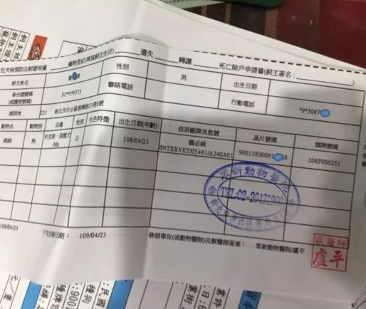 养了33只狗被投诉,可工作人员进屋一看非常惊讶:这也太舒适了吧!