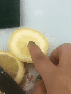 主人家用青柠檬逗狗,狗狗暴跳如雷咬靠枕,狗:再搞我,靠枕便是结局