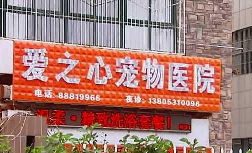 泰山小动物保护中心窘况:狗粮紧缺 下山买水挺贵