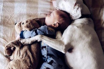 让小宝宝和狗狗独立在家里,推开门后心中一暖:这界面太温暖了吧