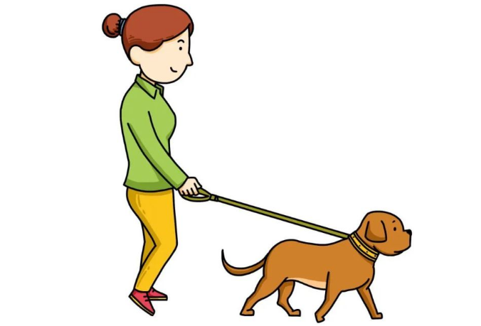 【世界狂犬病日】“撸猫撸狗”也要讲安全