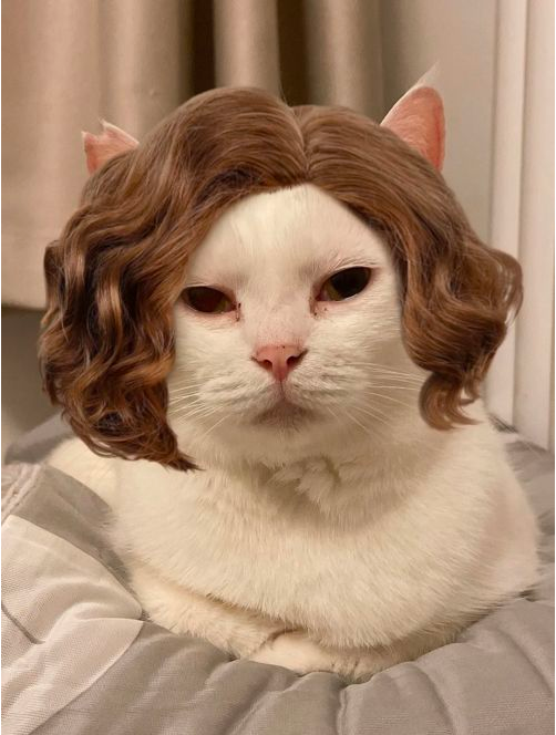 有人逃出医院,有人冲进灾区……只因为家里的猫狗