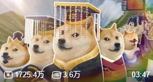 不管你信不信,这只柴犬在B站就是秦始皇