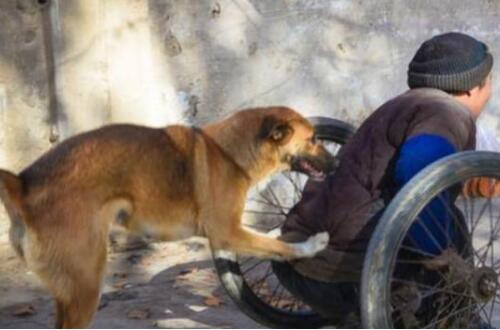 邻居: 狗又不养你要孝顺父母, 网友: 孝顺父母不是天经地义的事吗