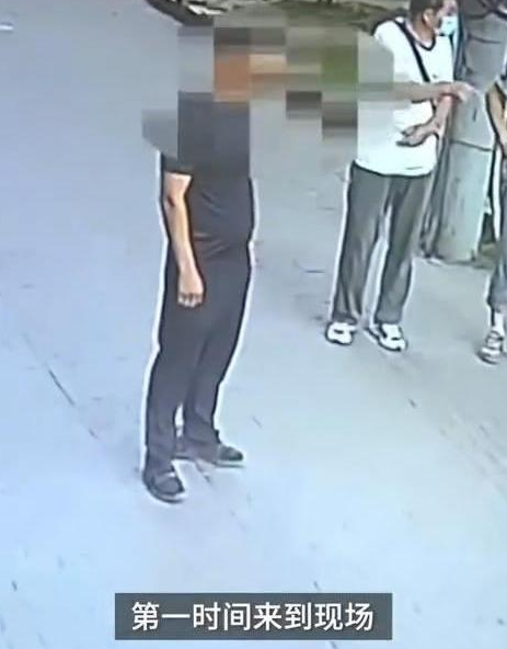 高空坠猫砸中路过老人,金毛犬拦截涉事猫竟成亮点
