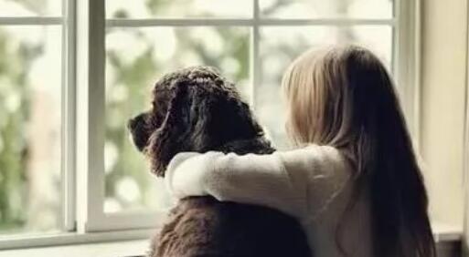 孩子与狗狗真的不能共存吗?看看国内外专家是怎么说的!