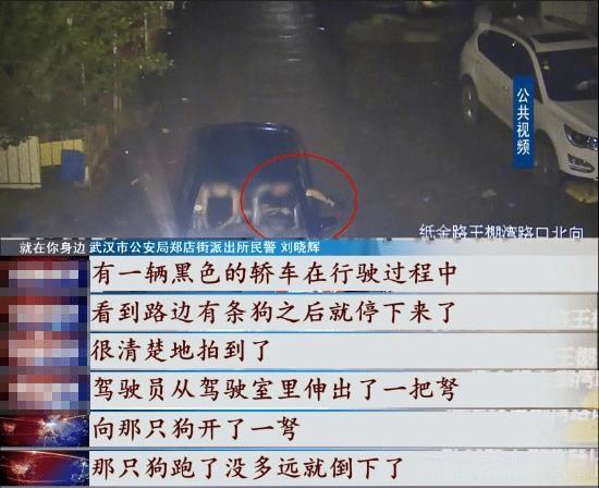 残忍!武汉一对父子为牟利,用毒镖射杀100多条狗,被刑事拘留