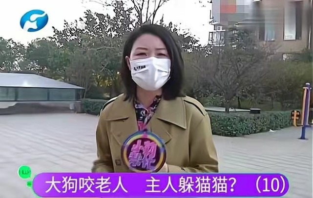 狗咬人事件后续:记者被气哭,当地部门进入调查,王新刚终于道歉