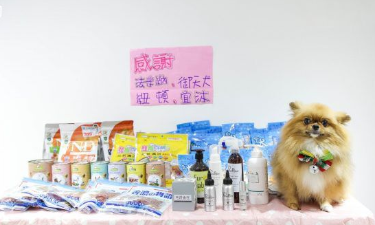 提供日托服务的狗狗幼稚园 举办圣诞趴超热闹