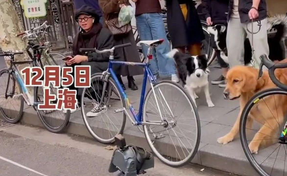 上海一男子街头遛机器狗,搞得真二哈都懵圈了