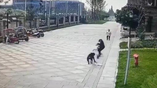 探访女童被大型犬撕咬事件，涉事黑狗已找到，小区保安袖手旁观