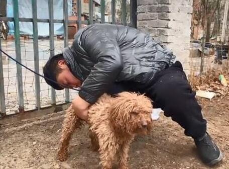 狗肉馆里的一只泰迪，冲着路人不停作揖