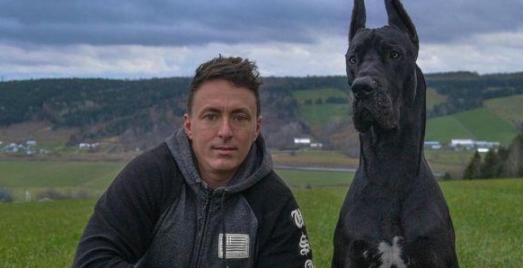 加拿大杜宾犬走红 “外强内软”的反差萌