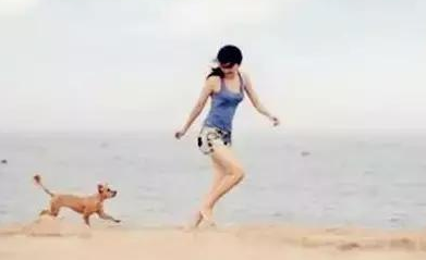 流浪狗到新家的感觉 | 流浪狗走进新家的所有第一次,那种不知所措我们真的不懂!