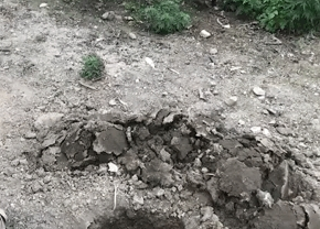 橘猫引诱小奶狗往坑里跳,猫:快来,跳下去就有肉吃