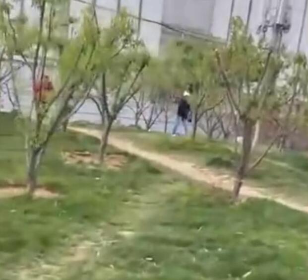 北京一公园现无理老人,遛狗不牵绳被劝阻,老人怒怼:又没拉你家