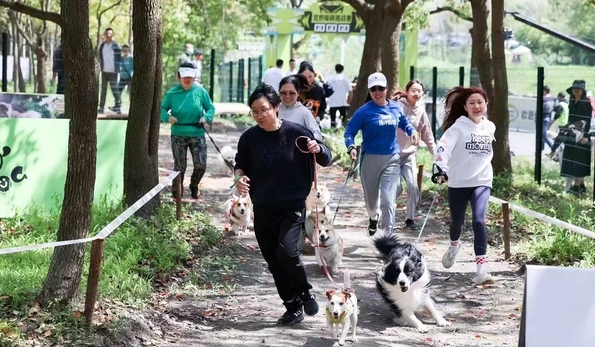 遛狗算不算全民健身项目?