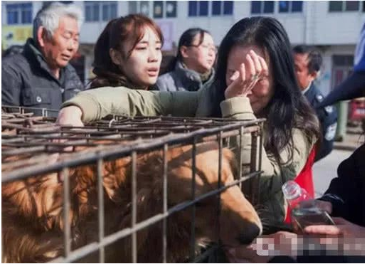 狗贩子街头吆喝卖狗,爱狗人士不忍出价赎救,狗贩行为却引发民怒
