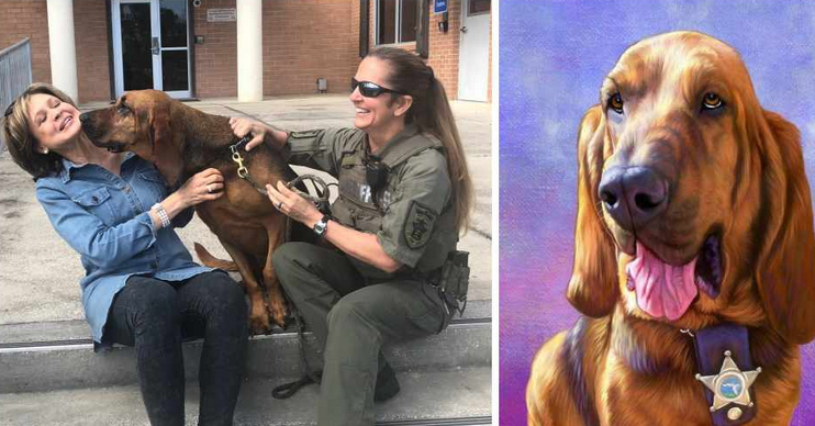 心痛!从事追踪失踪儿童和痴呆患者的猎犬被癌症夺去生命
