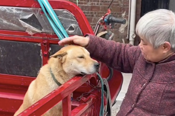 老奶奶去城里生活，狗不能一起带走，便拉到集市上卖