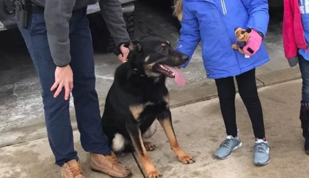 门口来了40多只警犬,还有许多警察,为了一个“女孩”而来