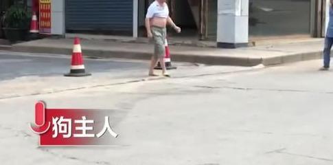 私自上街的宠物狗被活活打死:狗无牵绳一律捕杀