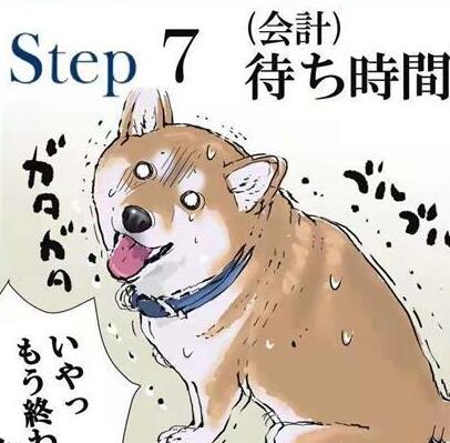 柴犬打针是什么体验,漫画图的表现,让它在怀疑“狗生”