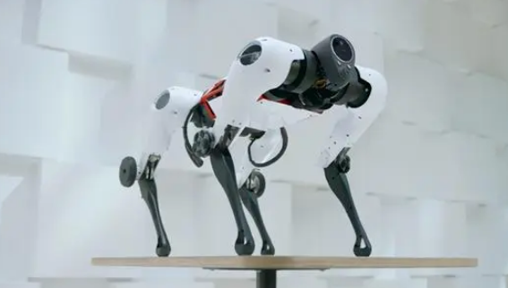 中国武装机器狗有多强？军事利器的崛起