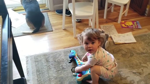 天才狗狗跟小主人同台表演超嗨,边弹钢琴边高歌!