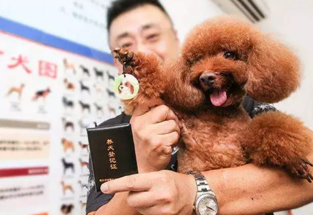 物业提醒:坚守文明养犬的刚性规则